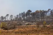 Incendies dans le Var : l'appel de l'ancien maire de Correns pour une meilleure prévention