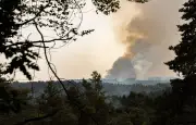 Incendies de Fontainebleau : le massif considéré comme éteint