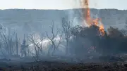 Incendies en Europe : hausse de 192 % des surfaces brûlées d'ici 2100 selon le PIK
