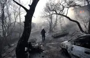 Incendies en Europe : la Belgique touchée, la France respire