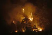 Incendies en Europe : un soldat espagnol meurt, la Belgique face à un feu historique