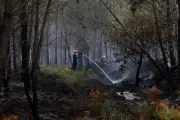 Incendies en France : le point sur les brasiers dans le Var, la Drôme et la Gironde