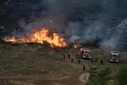 Incendies en France : point sur la lutte ce vendredi 7 août