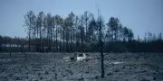 Incendies en Gironde : Sébastien Lecornu défend la gestion