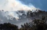 Incendies en Grèce : conditions extrêmes et feux hors de contrôle
