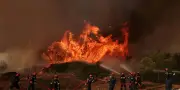 Incendies en Grèce : le manque de moyens humains relance le débat