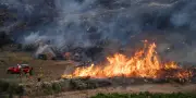 Incendies : feu fixé dans l'Aude, lutte en cours dans le Var et la Drôme