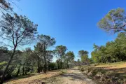 Incendies hors norme : le Pays de Fayence se prépare avec une stratégie défensive