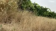 Incendies : le guide rappelle les bons réflexes