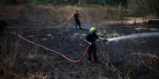 Incendies : le Var stabilisé, la Gironde en surveillance