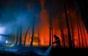 Incendies, piratage du fisc, D23 : l'été continue