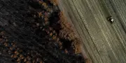 Incendies : plan gouvernemental pour les agriculteurs face au climat
