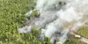 Indonésie : 1 500 soldats supplémentaires contre les feux à Bornéo