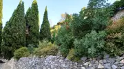 Initiation à la pierre sèche dans le Haut Languedoc
