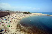 Intempéries à Antibes : plages fermées, arbres arrachés, coupures