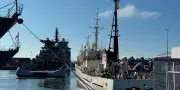Islande expulse 21 militants anti-chasse à la baleine