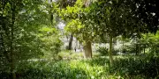 Jardin des cinq continents : l'atlas de verdure de Bertrand Lavier