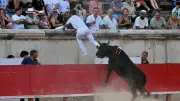 Jeudis de Nîmes : Vicaire et Lopez en vedette