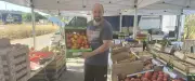 Joan Salom-Alcala : vente de fruits et légumes locaux dans le Gard rhodanien
