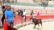 Journée de détection pour les futurs raseteurs à Beaucaire