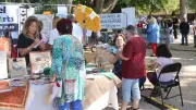 Journée des associations à Sorgues : sport, culture et loisirs au programme