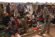 La faim dans le monde recule, 733 millions d'affamés