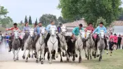 La Fiesta d'été du Crès : cinq jours de fête et traditions