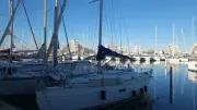 La Grande-Motte : le port s'engage pour la biodiversité marine