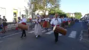 La Jouvenco de Mount Favet se réveille à Avignon