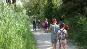 La Maison de la nature de Lattes propose des animations estivales