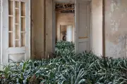 La maison idéale n'existe pas encore, selon Emanuele Coccia