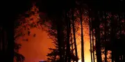 Landes : un incendie parcourt 1 100 hectares en une journée