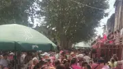 Lansargues : le rose a envahi le village pour le 15 août