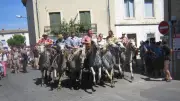 Lansargues : une étude mesure l'impact économique de la culture camarguaise