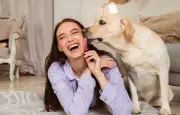 Léchage du chien : affection, stress ou apprentissage ?