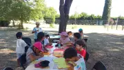 L'école sous les arbres : 18 enfants découvrent, apprennent et partagent à Bédarieux