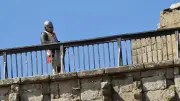 Le château de Portes en fête ce 16 août avant le médiéval 2027