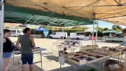 Le marché de Garrigues-Sainte-Eulalie déménage pour attirer plus de clients