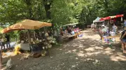Le marché estival de Lamelouze revient au Plô le 9 août
