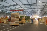 Le MIN de Nice se réinvente entre déclin agricole et appétit du local