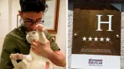 Le Palace, hôtel de luxe pour chats, ouvre à Paris