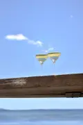 Le picpoul de Pinet, ce blanc qui sent la mer iodée