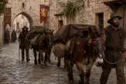 Les Médiévales de Brignoles : les muletiers Bigatier à l'honneur