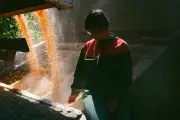 « Élever au grain » : une famille face à la crise agricole