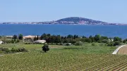 Légende de Sète : la baleine de Poséidon et le mont Saint-Clair