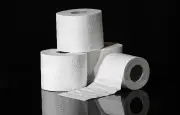 Licenciement validé pour six rouleaux de papier toilette
