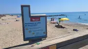 Littoral à Frontignan : les plagistes invités à documenter l’érosion