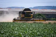 Loi d'urgence agricole : le piège du modèle productiviste