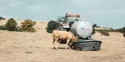 Loi urgence agricole validée par le Conseil constitutionnel