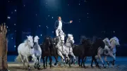 Lorenzo & Friends : spectacle équestre aux arènes de Nîmes
